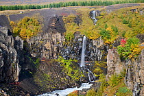 Litlanesfoss waterfall on the Hengifoss river in autumn, Iceland. September, 2023.