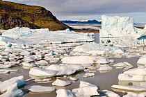 Ice floating on glacial lagoon with glacier in background, Fjallsarlon ice lagoon, Vatnajokull National Park, Iceland. September, 2023.