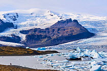 View looking across icebergs on glacial lagoon with glacier in background, Fjallsarlon ice lagoon, Vatnajokull National Park, Iceland. September, 2023.