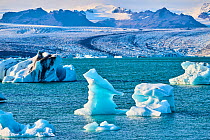 Icebergs floating on glacial lagoon with glacier in background, Jokulsarlon ice lagoon, Vatnajokull National Park, Iceland. September, 2023.