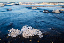 Ice on black, volcanic sand beach with waves on glacial lake, Diamond beach, Jokulsarlon, Vatnajokull National Park, Iceland. September, 2023.