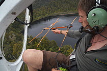 A ranger using telemetry through the open door of a helicopter over Okarito Forest, searching for a signal from a transmitter attached to an Okarito kiwi (Apteryx rowi), West Coast, South Island, New...