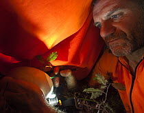 A ranger "candles" an egg of an Okarito kiwi (Apteryx rowi) in Okarito Forest. A torch is used under the darkness of his work jacket to draw the outline of the egg's air sack as a baseline for eg...