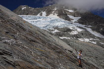 Biodiversity ranger laying out measuring tapes to make a repeatable grid for monitoring the plant species in alpine rock face with the Nansen Glacier behind. West Coast, South Island, New Zealand. Feb...
