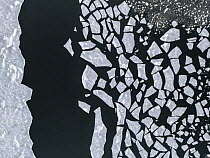Aerial view of ice breaking up in spring from the inner part of the Oslo fjord, Follo, Norway. March, 2023.