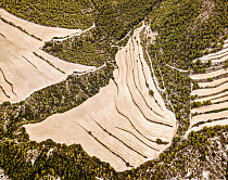 Aerial view of old cultural landscape, near Parc Natural del Carrascar de la Font Roja, Alicante region, Spain. August, 2017.