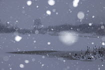 Heavy snowfall covering lake, Follo, Viken, Norway. December, 2022.