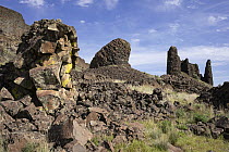 Basalt rock formations in Sun Lakes State Park, Grant County, Washington, USA. May, 2023.