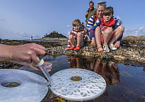 Family watching preparations for the the release of European lobster (Homarus gammarus) juveniles into the sea, St. MIchael's Mount, Marazion, Cornwall, UK. June, 2023.