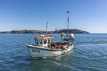 Fisherman on lobster fishing boat with lobster pots, Falmouth Bay, Cornwall, UK. March, 2023.
