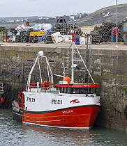 Lobster fishing boat docked in Padstow Harbour, Cornwall, UK. October.