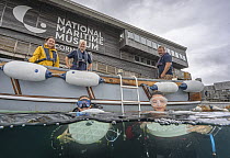 members of the volunteer dive release team at The National Maritime Museum preparing to release European lobster (Homarus gammarus) juveniles into the sea, Falmouth, Cornwall, UK. July, 2023. EDITORIA...