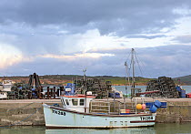 Lobster fishing boat docked in Padstow Harbour with piles of lobster pots behind, Cornwall, UK. November, 2018.