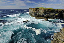 Old red sandstone sea cliffs at Yesnaby, Orkney, Scotland, UK. July, 2008.