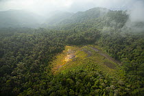 Aerial view of the Foja Mountains rain forest. The natural clearing is the "bog" area used as a landing site for the expedition, Foja Mountains, West Papua. June, 2007.