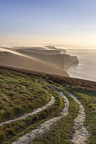 Misty morning along the South West Coast Path at White Nothe looking towards Swyre Head and Lulworth, Jurassic Coast World Heritage Site, Dorset, England, UK. February, 2023.