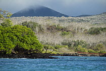 View of Floreana Island seen from the northern shore, Galapagos Islands. July, 2022.