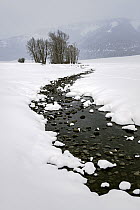 Small creek winding through snow-covered landscape on stormy winter day, Lamar Valley, Yellowstone National Park, Wyoming, USA. January, 2021.