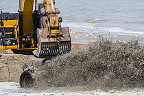 Crawler hydraulic excavator used for sand replenishment / beach nourishment to reduce storm damage along the Dutch coast at Zeeland, Netherlands. June, 2023.