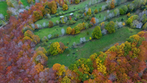 Drone panning shot of deciduous forest, meadows and typical pasiego cabins which are used for keeping cattle, Espinosa de los Monteros, Valles Pasiegos, Burgos, Spain. November.