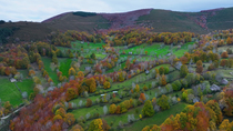 Aerial shot of meadows, typical pasiego cabins which are used for keeping cattle and deciduous forest, Espinosa de los Monteros, Valles Pasiegos, Burgos, Spain. November.