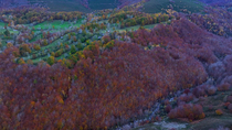 Aerial shot of meadows, typical pasiego cabins which are used for keeping cattle, river and deciduous forest containing Beech trees (Fagus), Espinosa de los Monteros, Valles Pasiegos, Burgos, Spain. N...