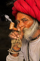 Rabari tribesman smoking a pipe, head portrait, Jawai, Rajasthan, India. March, 2023.