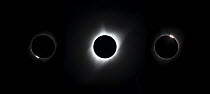 Total eclipse of the sun, viewed from near the center of the path of totality, near Rexburg, Idaho, USA. With the photosphere (solar disk) hidden by the moon, the sun's chromosphere and corona ar...