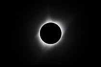 Total eclipse of the sun, viewed from near the center of the path of totality, near Rexburg, Idaho, USA. With the photosphere (solar disk) hidden by the moon, the sun's chromosphere and corona ar...