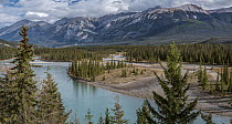 Athabaska River and conifer forest beneath the Miette Range, Jasper Provincial Park, Alberta, Canada. September, 2023.