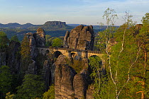 Bastei Bridge surrounded by towering sandstone rock formations and Silver birch (Betula pendula) trees with table mountains in background, Saxon Switzerland National Park, Saxony, Germany. May, 2021.