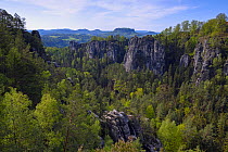 Sandstone rock formations and cliffs with mixed forest in valley. Table mountains in the background. Saxon Switzerland National Park, Saxony, Germany. May, 2021.