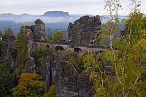 People standing on Bastei Bridge surrounded by towering sandstone rock formations and autumnal Silver birch (Betula pendula) trees with table mountains in background, Saxon Switzerland National Park,...
