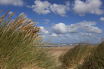 View from sand dunes looking out to sea, Holkham Beach National Nature Reserve,  Norfolk, UK. September, 2010.