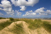 Sand dunes at Holkham Beach, North Norfolk, UK. September, 2007.