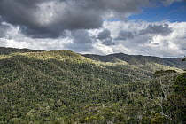 View over densely forested hills under a cloudy sky in Maromizaha Reserve, Eastern Madagascar. August, 2019.