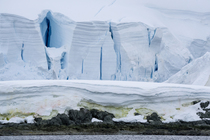 Ice shelf with crevasses along the shore, Antarctic Peninsula, Antarctica. January, 2023.