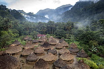 Wiwa village surrounded by rainforest in the Buritaca valley, Sierra Nevada de Santa Marta, Colombia. December, 2021.
