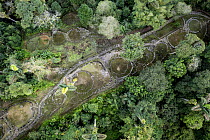 Aerial view of the core area of Ciudad Perdida, archaeological site of an ancient city, surrounded by rainforest, Sierra Nevada de Santa Marta, Colombia. December, 2021.