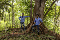 Michele Galli (Environomica NGO founder) from the reforestation project and Alejandro Hoyos (Reselva NGO) standing next to large tree in rainforest, Finca la Profunda, Sierra Nevada de Santa Marta, Co...