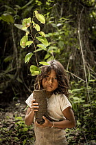 A young boy from the Wiwa community in El Encanto, holding an Algarrobo tree (Hymenaea courbaril) sapling before planting as part of the reforestation project, Sierra Nevada de Santa Marta, Colombia....