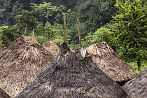 Traditional huts in Wiwa village in the Buritaca valley. The design of the roof is inspired by the shape of the two peaks of the Sierra Nevada de Santa Marta massif, Colombia. December, 2021.