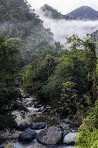 Tributary of the Buritaca river surrounded by rainforest, along the route towards Ciudad Perdida, Sierra Nevada de Santa Marta, Colombia. December, 2021.