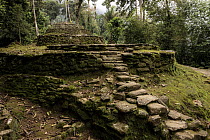 The entrance of Ciudad Perdida, archaeological site of an ancient city, Sierra Nevada de Santa Marta, Colombia. December, 2021.