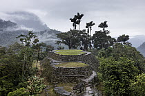 Ciudad Perdida, archaeological site of an ancient city surrounded by rainforest, on a rainy afternoon. Sierra Nevada de Santa Marta, Colombia. December, 2021.