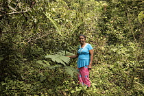 Woman standing next to a young Tambor tree (Schizolobium parahyba) in the rainforest. The tree was planted six months before as part of a reforestation project. Sierra Nevada de Santa Marta, Colombia....
