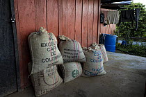 Sacks of coffee harvested in Finca Bellavista. The families working in the reforestation project earn their livelihood mainly from coffee trade. Sierra Nevada de Santa Marta, Colombia. December, 2021.