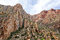 Cape Fold Mountains, Swartberg Pass, Western Cape Province, South Africa. June, 2023.