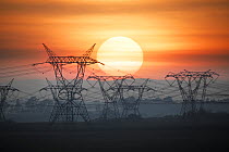 Electricity pylons silhouetted at sunrise, Gauteng Province, South Africa. February, 2017.