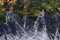 Ice patterns on partially frozen stream across heathland, New Forest, Hampshire, England, UK. January, 2023.